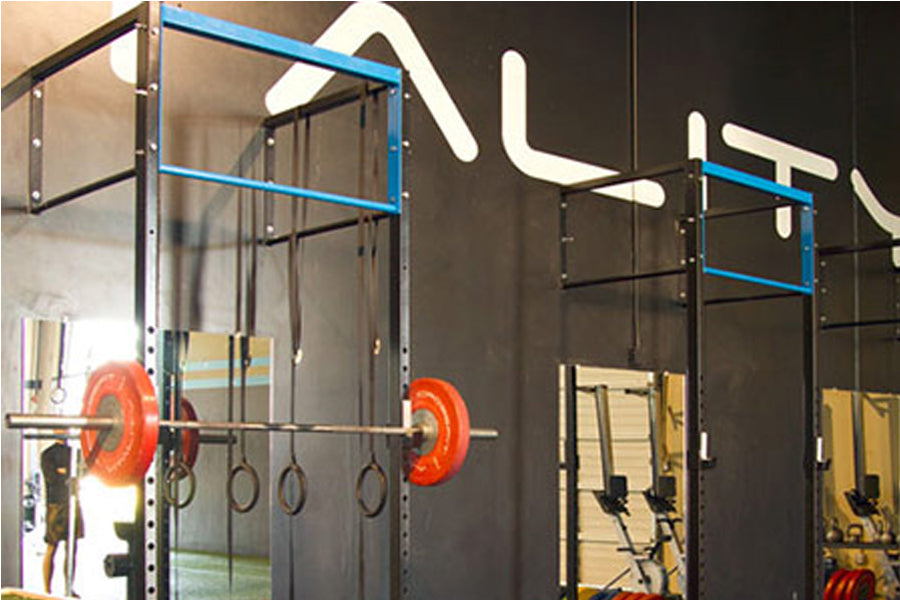 Warrior 4ft Squat-Pull Up Wall Mount Stag Rack with blue frame, glass panels, red weight plates, and hanging rings