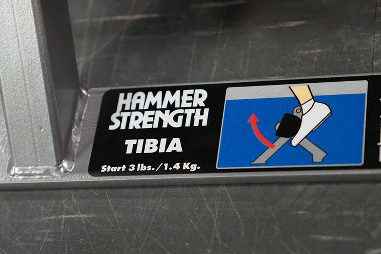 Hammer Strength Tibia machine label showing leg exercise illustration with start weight 3 lbs on dark background