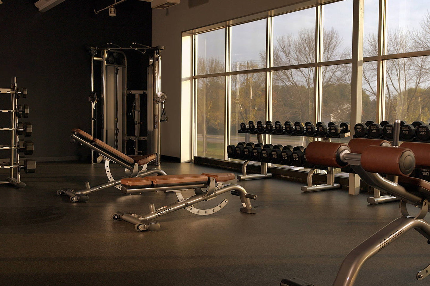 Life Fitness multi-adjustable weight bench with brown leather seat and silver metal frame in gym setting with dumbbells and e