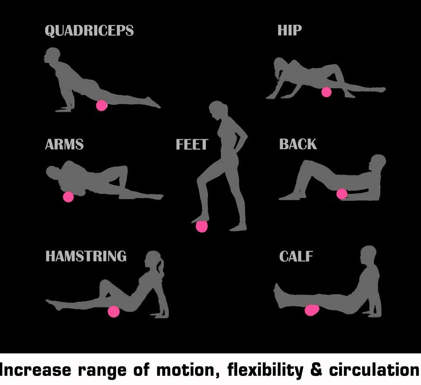 Warrior Extra Firm Foam Roller demonstrating eight muscle group exercises with silhouettes and pink target points on black ba