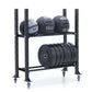 Black metal storage rack with two tiers holding medicine balls and weight plates on white background