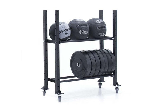 Black metal storage rack with two tiers holding medicine balls and weight plates on white background