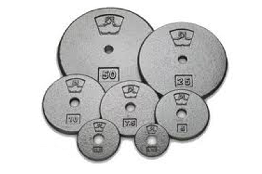 Warrior cast iron weight plates in various sizes arranged in a group, showing 50lb, 25lb, 10lb, 7.5lb, 5lb and smaller denomi