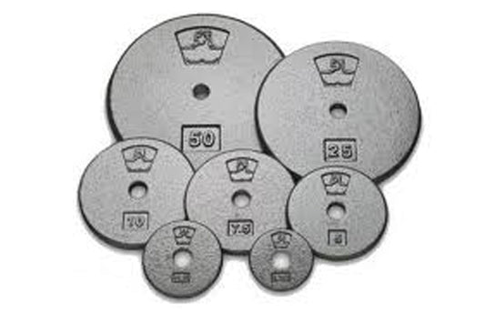 Warrior cast iron weight plates in various sizes arranged in a group, showing 50lb, 25lb, 10lb, 7.5lb, 5lb and smaller denomi