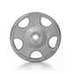 Gray cast iron Olympic weight plate with six oval handles, 100-pound marking, and center hole on white background
