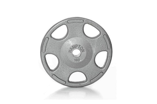 Gray cast iron Olympic weight plate with six oval handles, 100-pound marking, and center hole on white background