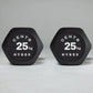 HYROX Commercial Dumbbells