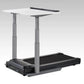 LifeSpan power treadmill desk with white top, gray adjustable columns, and black motorized treadmill base on gray background
