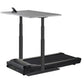 Lifespan TR1200 power treadmill desk with gray work surface, black frame and treadmill base, on white background
