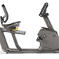 Matrix R30 recumbent exercise bike with gray frame, padded seat, curved handlebar, and upright console display on white backg