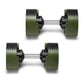 Pair of green and black adjustable dumbbells with metallic chrome handles on white background