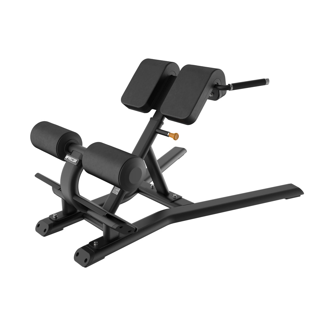 Precor Vitality Series Back Extension (VBR 6312)