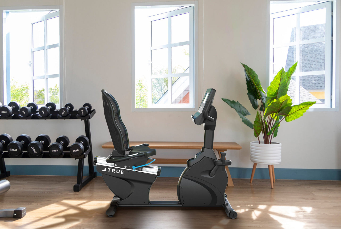 True Performance Series Recumbent Bike