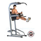 Gray steel vertical training tower with pull-up bar, dip station, and leg raise platform, shown with shirtless male model dem
