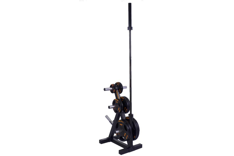 Black and gold weight plate storage rack with vertical bar holder and horizontal plate pegs on white background
