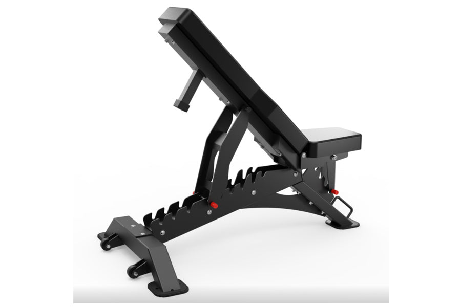 Warrior 201 adjustable heavy-duty weight bench with padded backrest and leg extension, black metal frame on white background