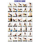 Warrior Equalizer Dip Bars exercise guide showing 40 demonstration movements with models using yellow resistance bars and blu