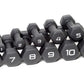 Set of gray neoprene-covered hexagonal dumbbells numbered 1 through 12 pounds, arranged in ascending order on white backgroun