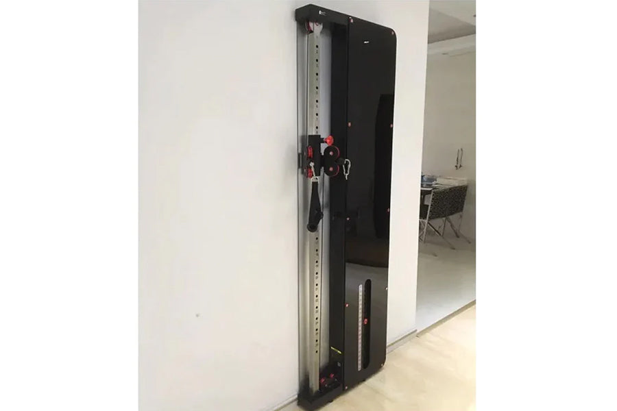 Warrior black cable pulley home gym system mounted on white wall with single stack, red handles, and adjustable weight pegs