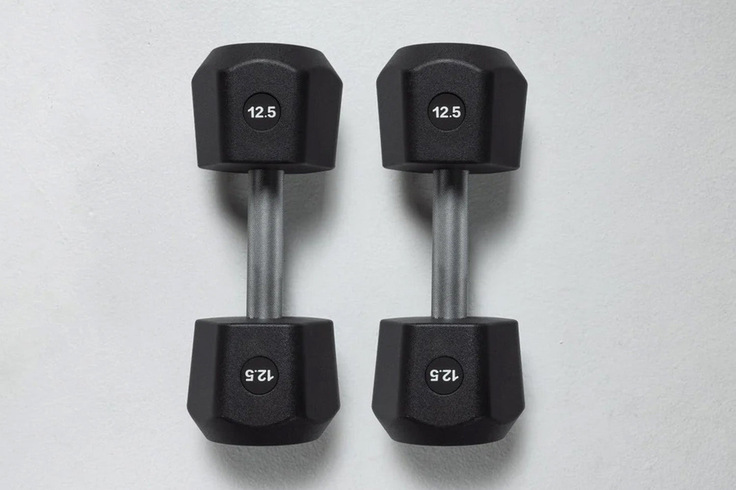 HYROX Official Competition Urethane Dumbbells