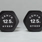 HYROX Official Competition Urethane Dumbbells