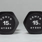 HYROX Official Competition Urethane Dumbbells