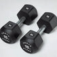 HYROX Official Competition Urethane Dumbbells