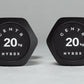 HYROX Official Competition Urethane Dumbbells