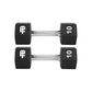 Pair of black dumbbells with 10-pound weight markings and chrome handles on white background