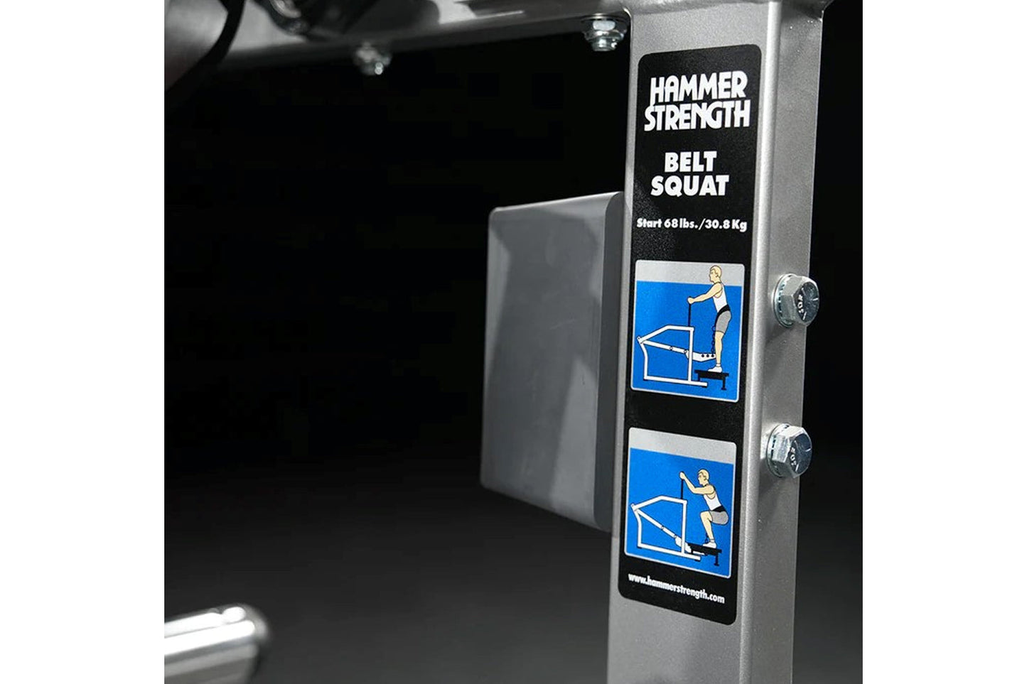 Hammer Strength plate-loaded belt squat machine with gray frame, black and blue instructional labels, and adjustment controls