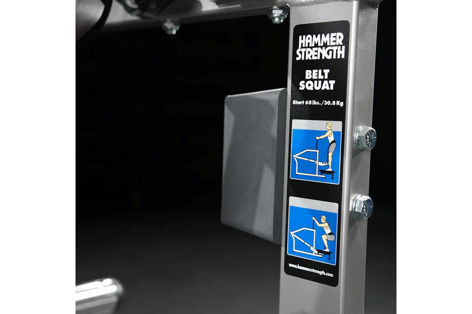 Hammer Strength plate-loaded belt squat machine with gray frame, black and blue instructional labels, and adjustment controls
