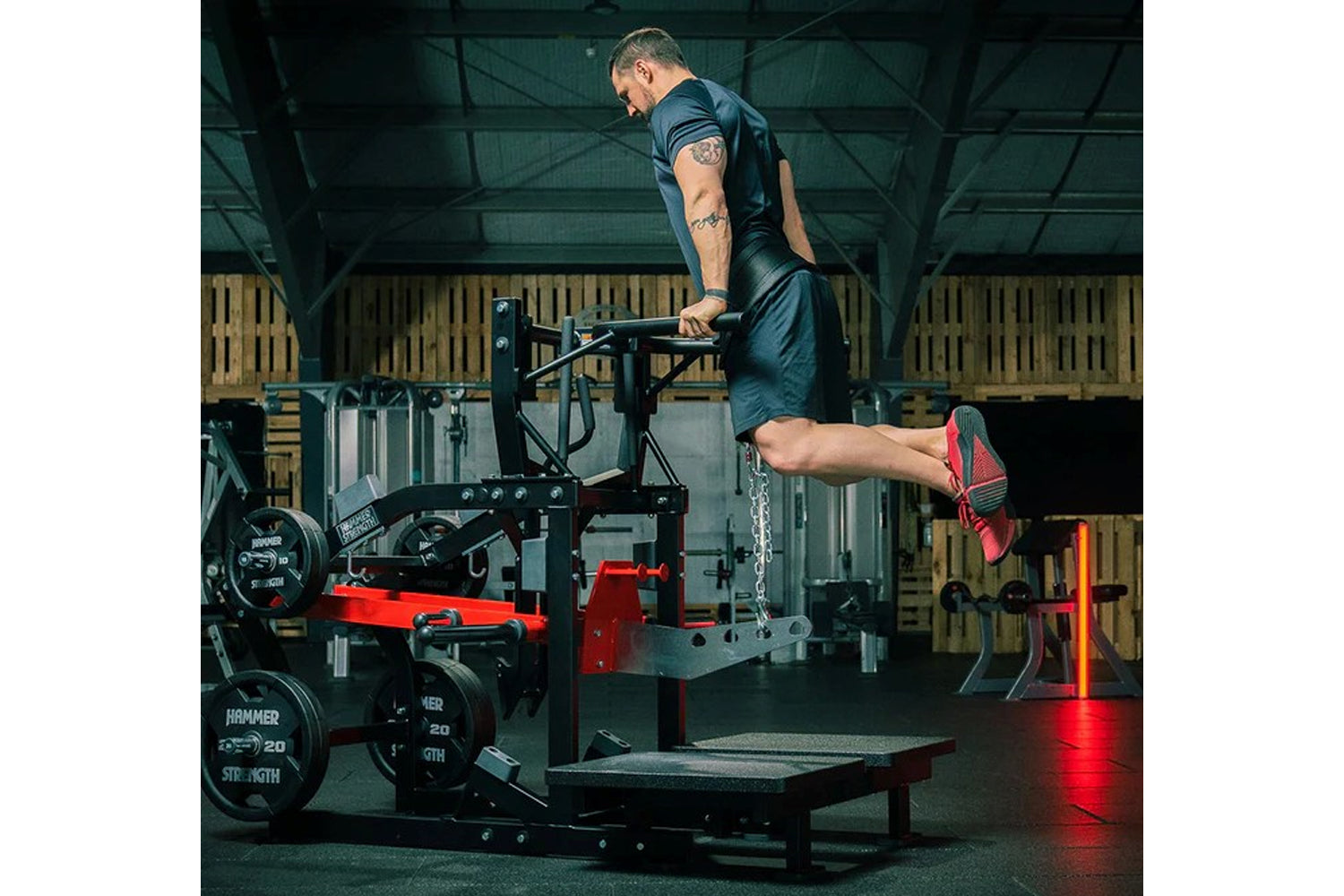 Man in dark blue athletic shirt and shorts using red and black plate-loaded belt squat machine in gym setting
