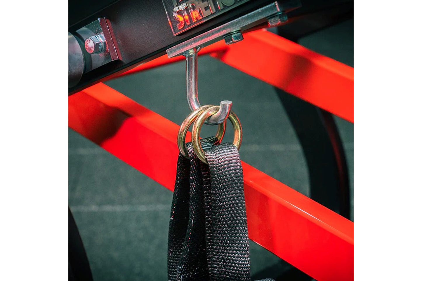 Metal D-ring with black nylon strap attached to red plate-loaded exercise machine