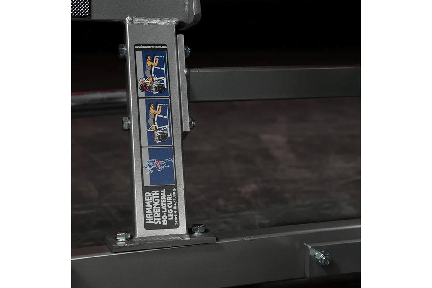 Gray Hammer Strength plate-loaded leg curl machine with blue and gold exercise illustration decals on vertical support post, 
