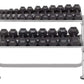 Two-tier dumbbell rack with silver frame holding black hexagonal dumbbells, capacity for 12+ pairs, on white background