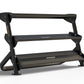 Black 2-tier dumbbell rack with angled frame and metal shelves, branded Hoist, on white background