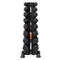 Black vertical dumbbell rack with hexagonal dumbbells arranged on both sides, Hoist branding, on white background