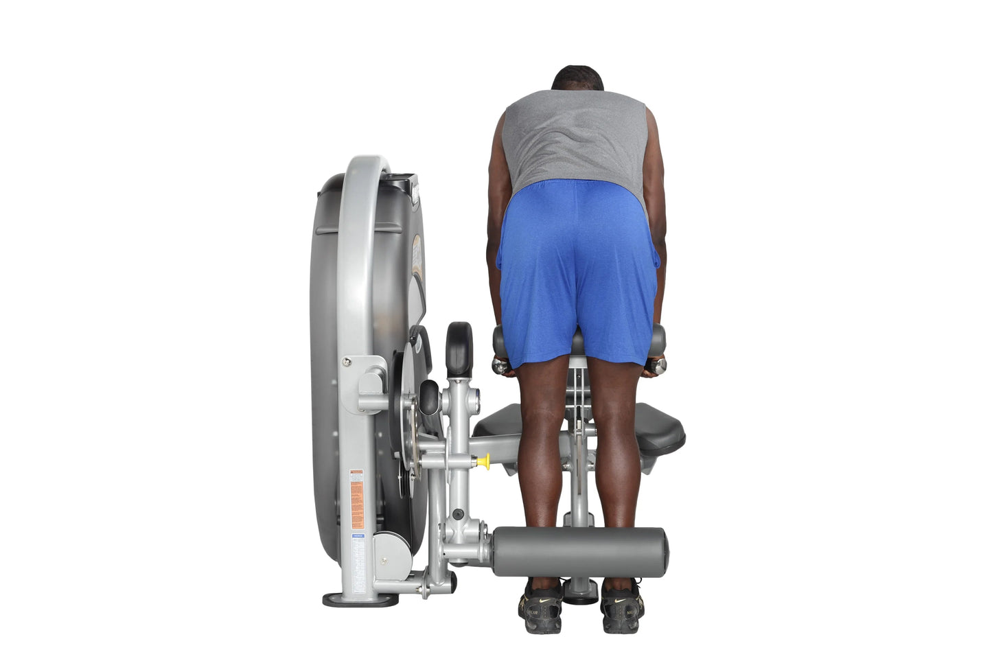 Man using silver and gray leg curl machine, wearing gray tank top and blue shorts, viewed from behind on white background