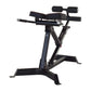 Inspire 45/90 Hyperextension Bench - Top Fitness Store