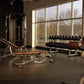 Life Fitness multi-adjustable weight bench with brown leather seat and silver metal frame in gym setting with dumbbells and e