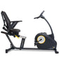 Black LifeSpan R5i recumbent exercise bike with yellow accent, padded seat, adjustable backrest, and console display on white