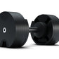 Pair of black adjustable dumbbells with cylindrical weight plates and metal handle, shown on white background