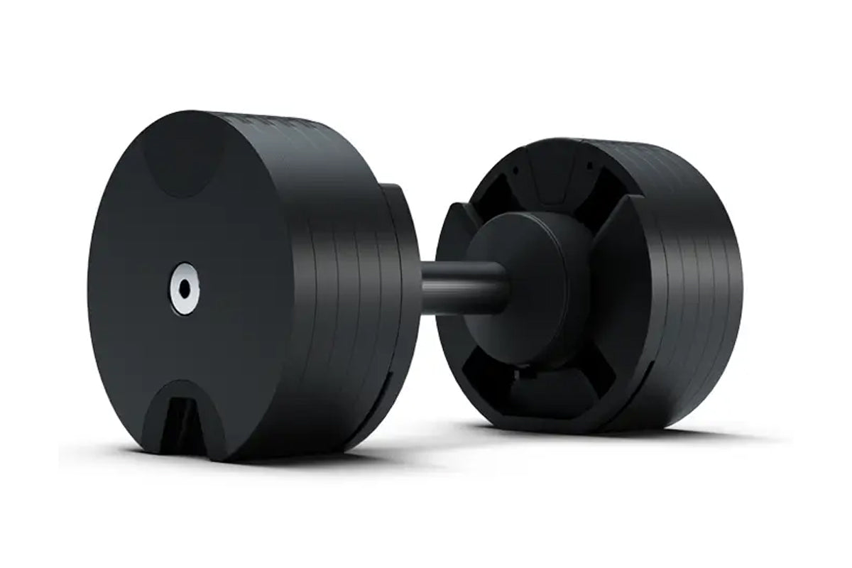 Pair of black adjustable dumbbells with cylindrical weight plates and metal handle, shown on white background