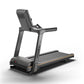 Matrix Lifestyle treadmill with gray frame, black running belt with orange accent stripe, digital console, and handrails on w