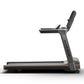 Black and gray motorized treadmill with digital console and orange accent stripe on base, shown on white background