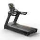 Black and gray motorized treadmill with digital console display, handrails, and gold accents on white background