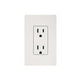 White electrical outlet with two receptacles mounted on light gray wall plate on white background