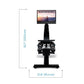 NordicTrack RW900 black rower with digital monitor displaying sunset scene, shown with dimension measurements on white backgr