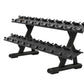 Precor Discovery Series 2-Tier, 10-Pair Dumbbell Rack (DBR0812) Weight Storage Precor Black