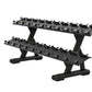 Precor Discovery Series 2 - Tier, 10 - Pair Dumbbell Rack (DBR0812) - Top Fitness Store